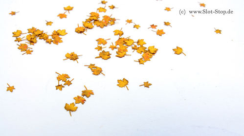 Ahornblätter, Herbstfarben